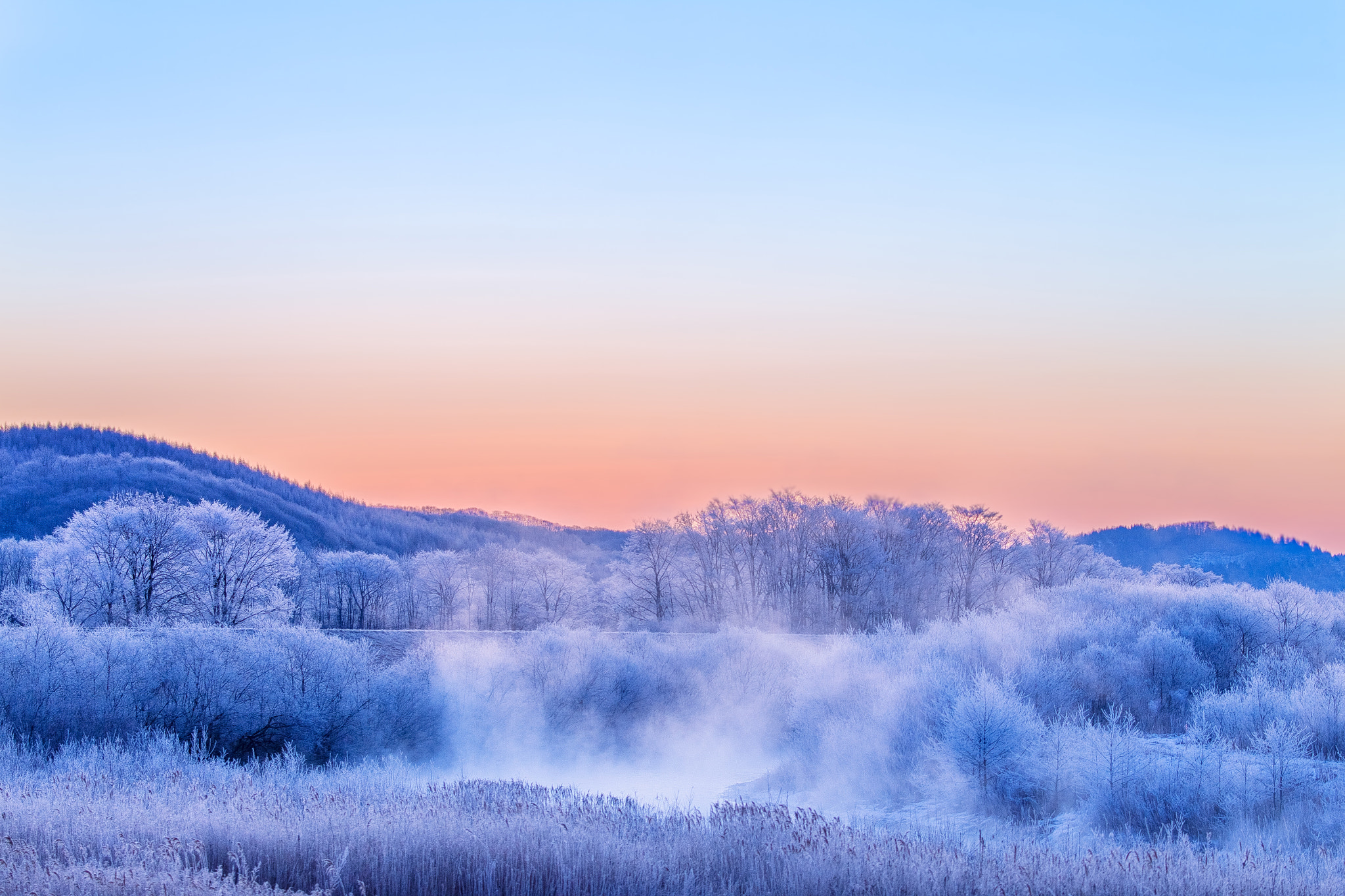 Canon EF 100-400mm F4.5-5.6L IS II USM sample photo. Frigid morning photography