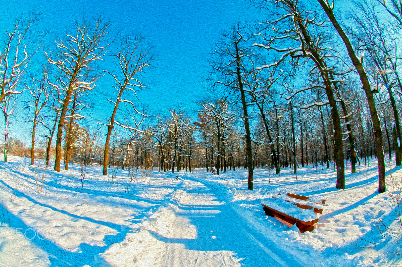 Nikon D300 + Sigma 10mm F2.8 EX DC HSM Diagonal Fisheye sample photo. Snow creaks photography