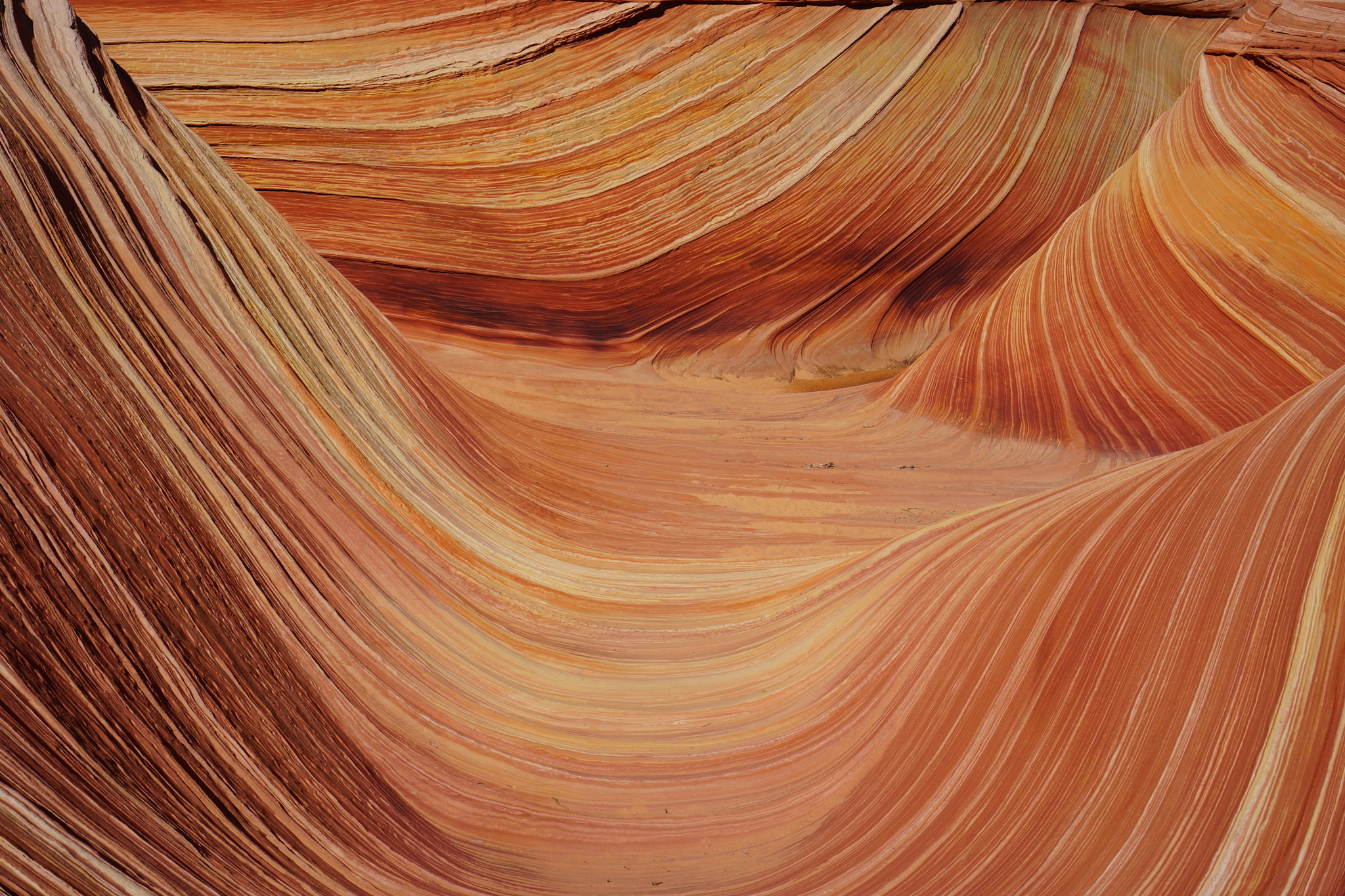 Sony Alpha NEX-7 + Sony E 35mm F1.8 OSS sample photo. The wave - north coyote buttes, arizona﻿ photography