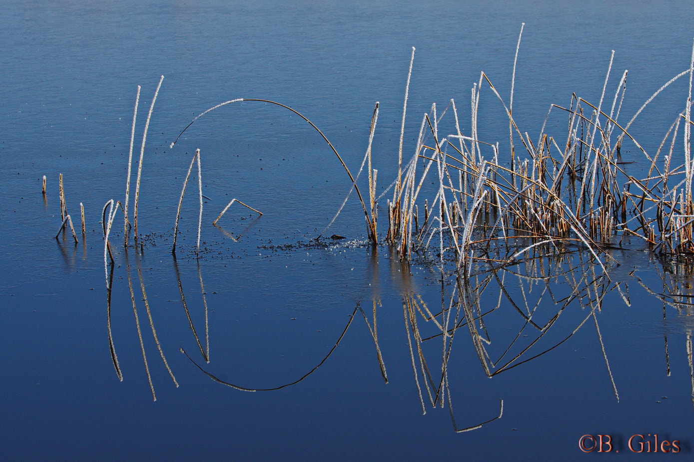 Pentax smc DA* 60-250mm F4.0 ED (IF) SDM sample photo. First ice photography