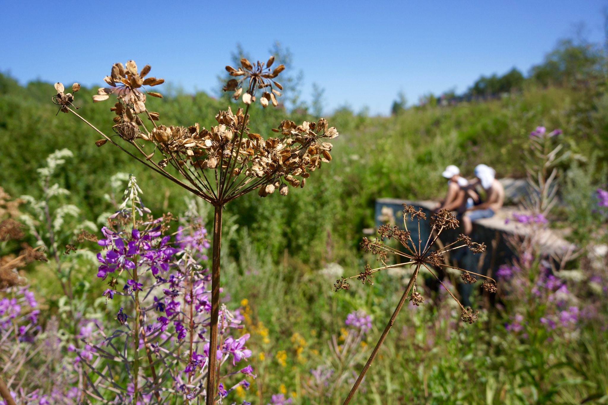 Tamron 18-200mm F3.5-6.3 Di III VC sample photo. Moscow oblast, 2014 photography