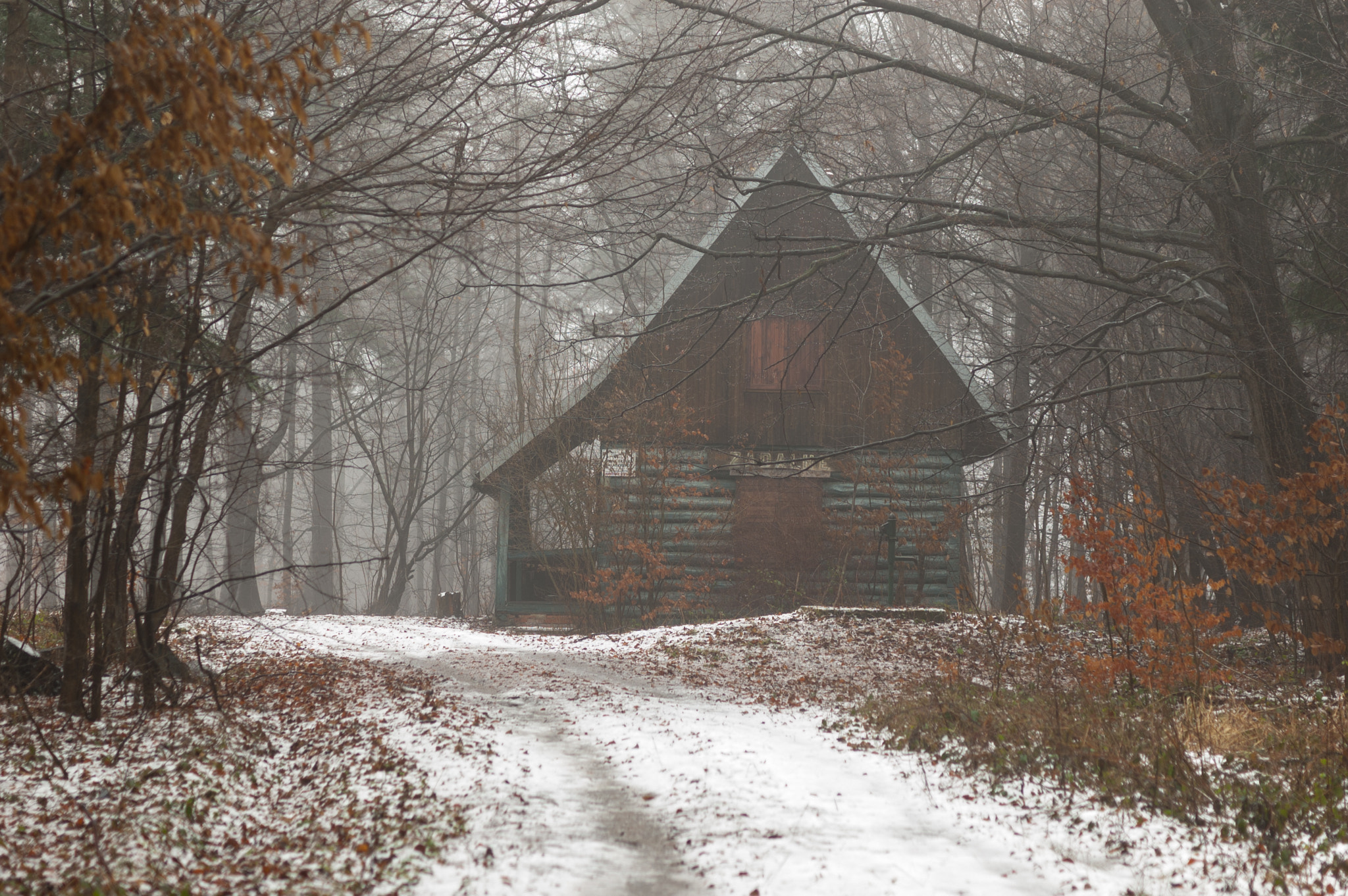 Nikon D40 + Sigma 50mm F1.4 DG HSM Art sample photo. Cabin in the woods photography