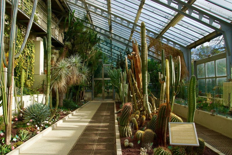 Sony SLT-A77 sample photo. Botanical garden madrid 8 photography