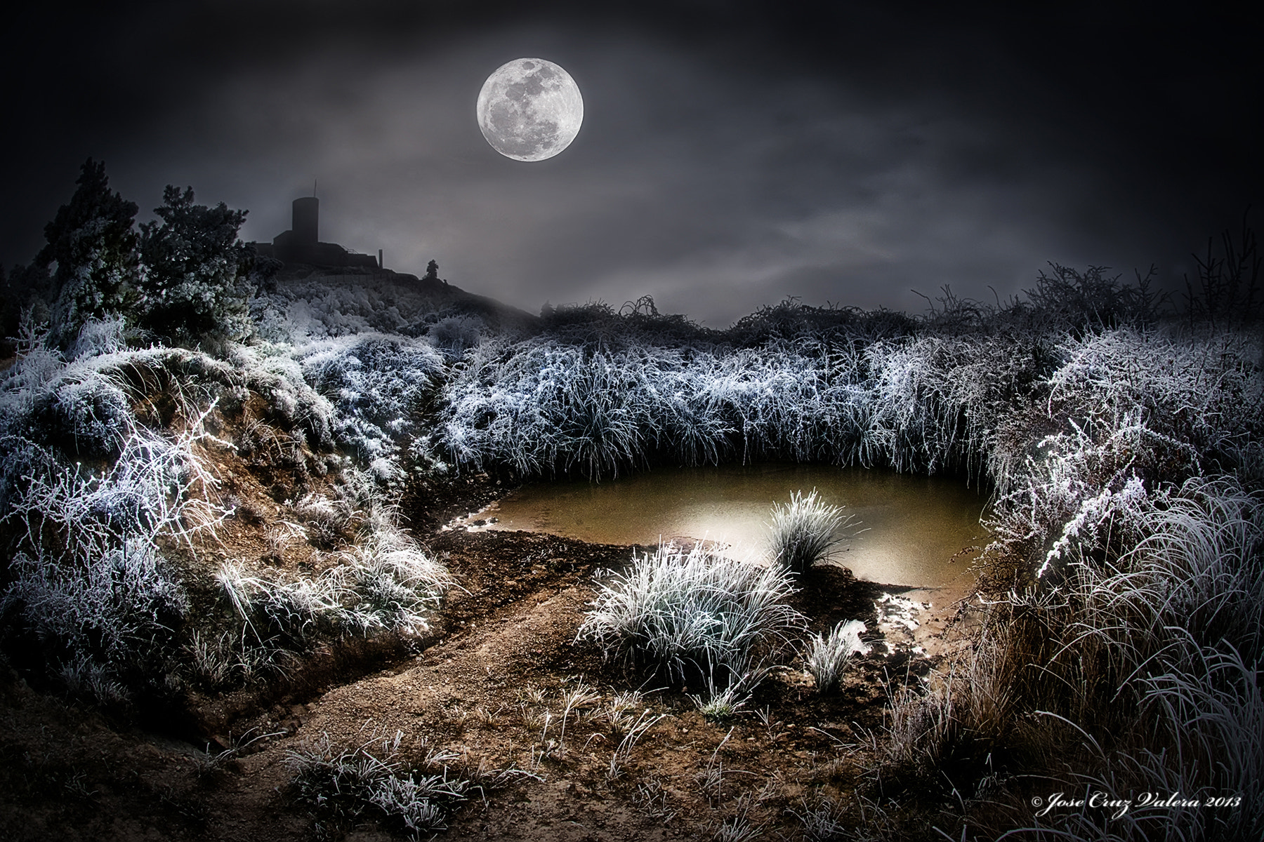 Nikon AF DX Fisheye-Nikkor 10.5mm F2.8G ED sample photo. Ala luz de la luna photography