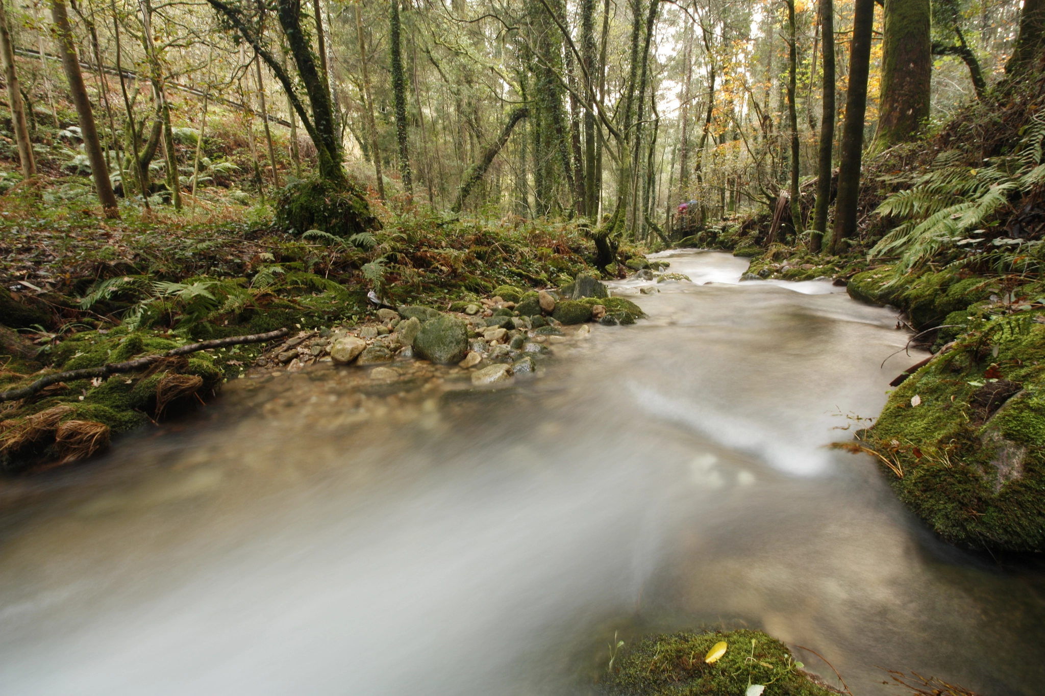 Canon EF-S 10-18mm F4.5–5.6 IS STM sample photo. Fraga de moaña photography