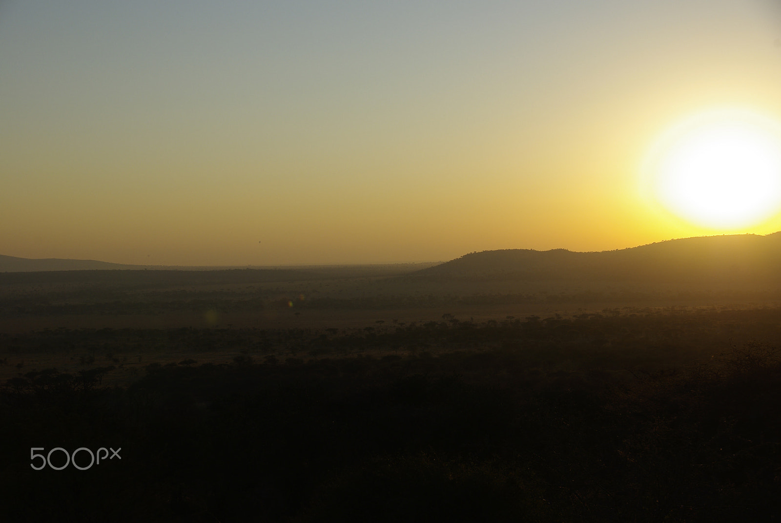 Pentax K200D sample photo. Serengeti photography