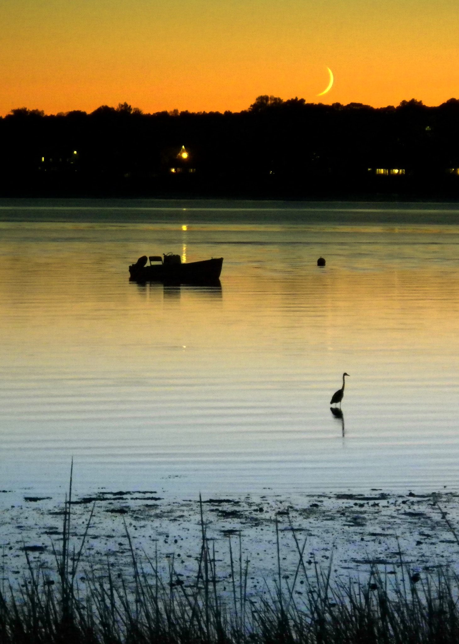 Pentax Optio W90 sample photo. October moonset, norwalk harbor photography