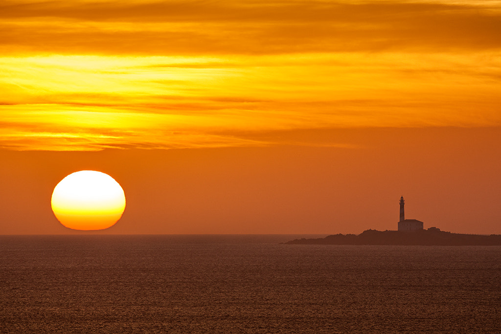 Canon EF 500mm F4L IS USM sample photo. A new day photography