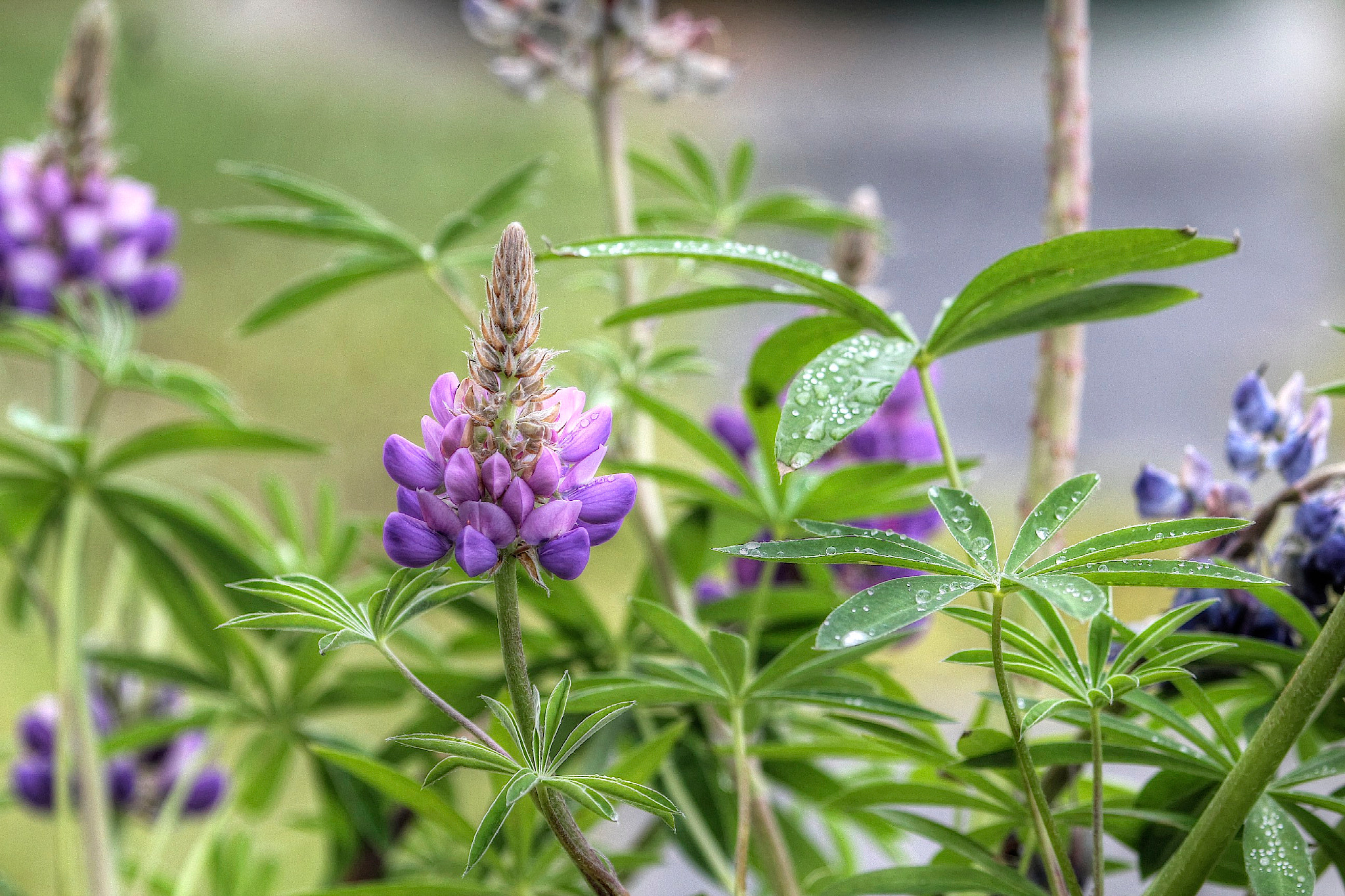 Sigma 150-600mm F5-6.3 DG OS HSM | C sample photo. Outstanding! photography