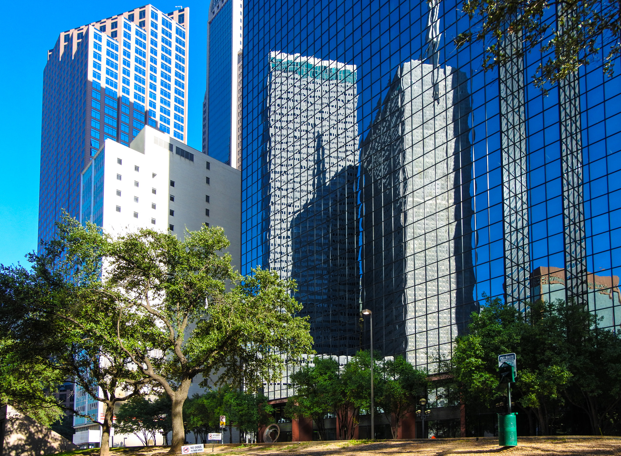 1 NIKKOR VR 10-100mm f/4-5.6 sample photo. Dallas, tx photography