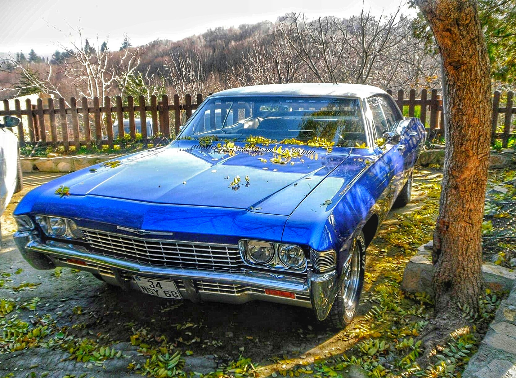 Samsung PL80/VLUU PL80/ SL630/ PL81 sample photo. Chevrolet photography