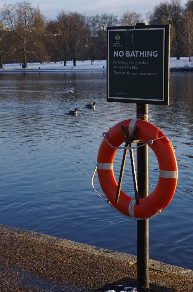 Pentax K-5 II sample photo. No bathing - hyde park photography