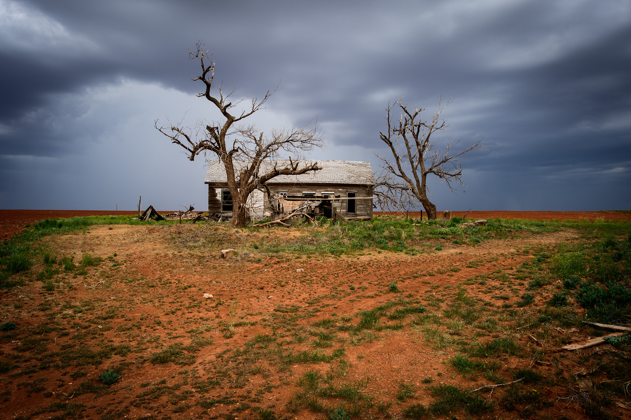 Nikon Df + Nikon AF-S Nikkor 24mm F1.4G ED sample photo. Desiccated landscape photography