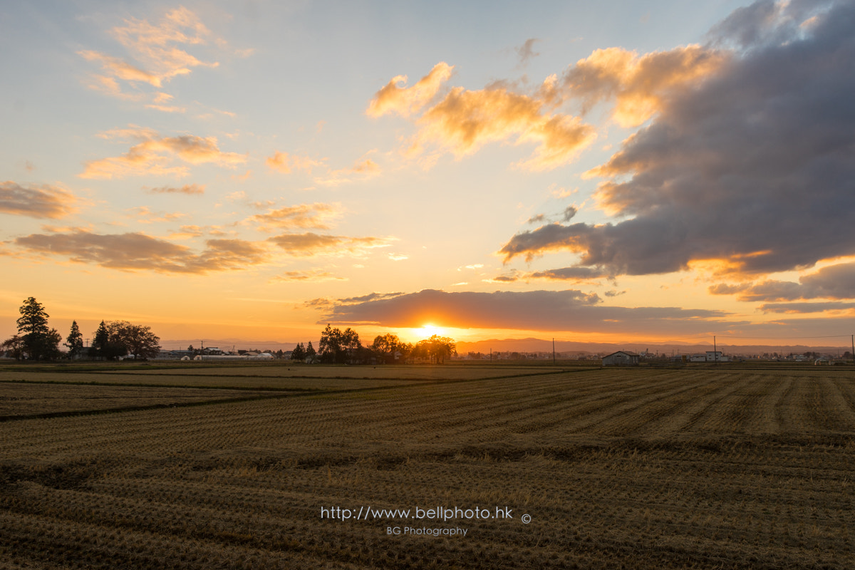 Sony a7 + Canon EF 85mm F1.2L II USM sample photo. 夕日. photography