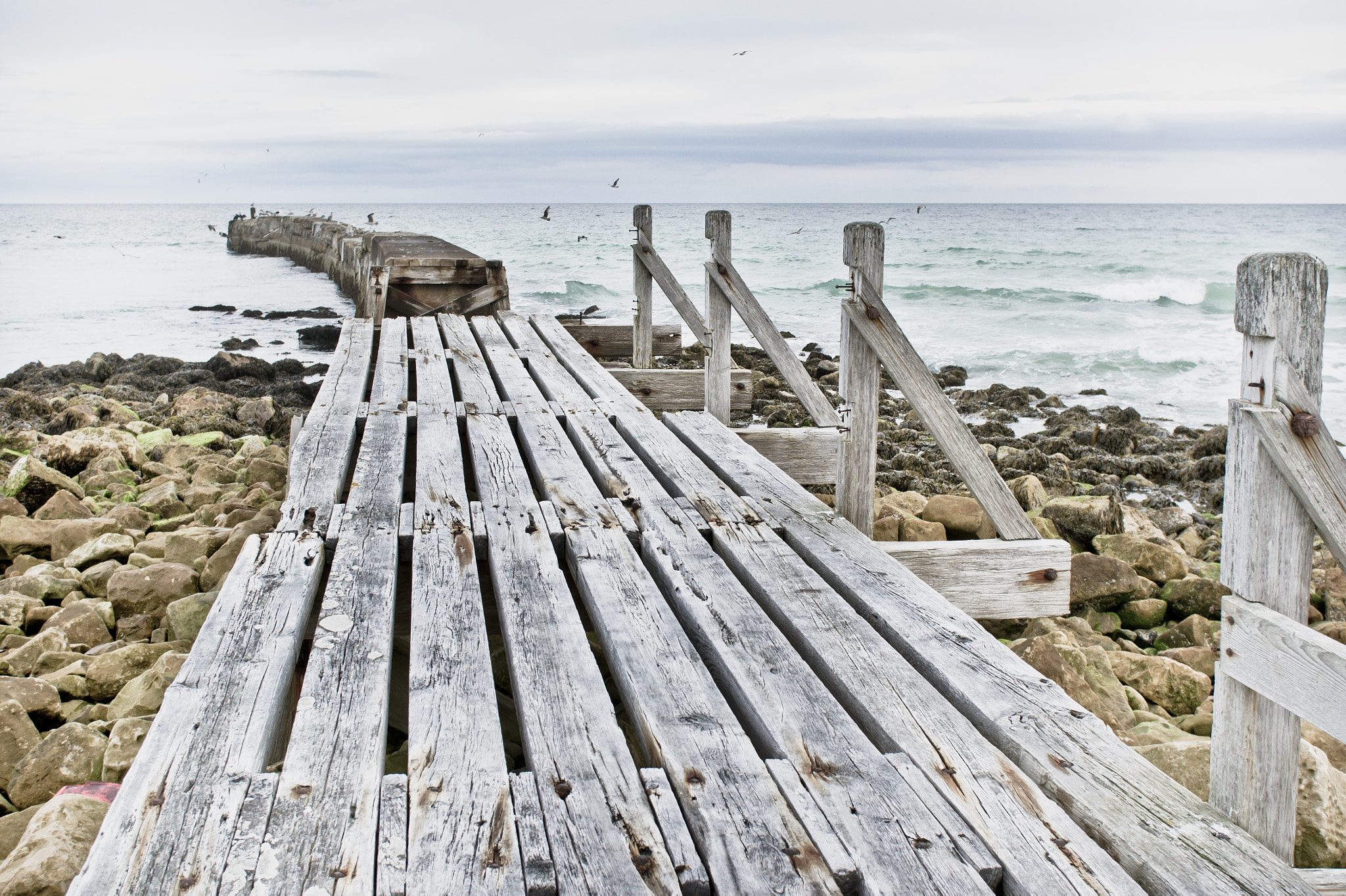 Sony Alpha NEX-5 + Sony E 30mm F3.5 Macro sample photo. Wooden walkway photography