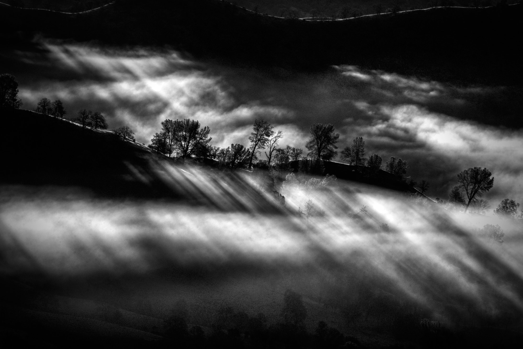 Sony SLT-A77 sample photo. Morning sunrise thru the fog iii photography