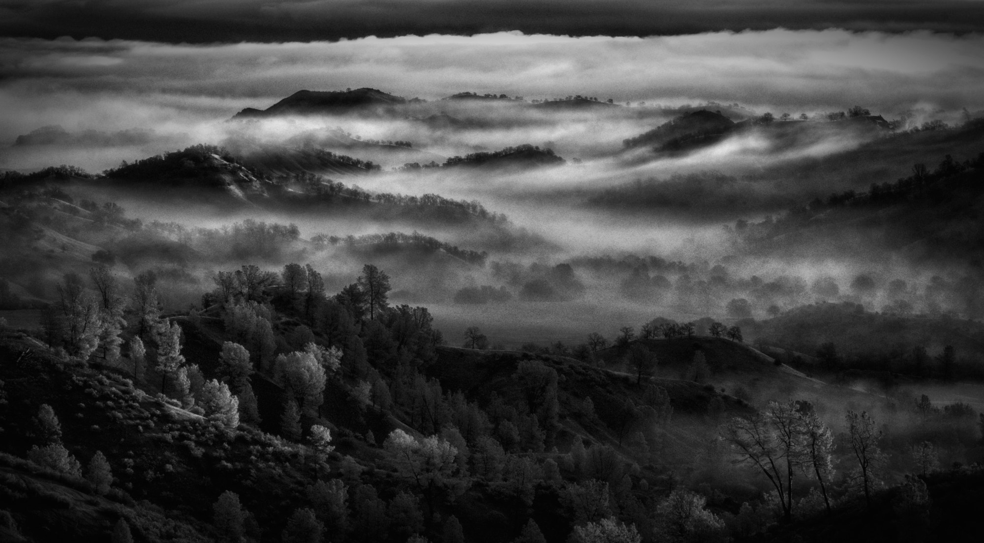 Sony SLT-A77 sample photo. Morning sunrise thru the fog ii photography