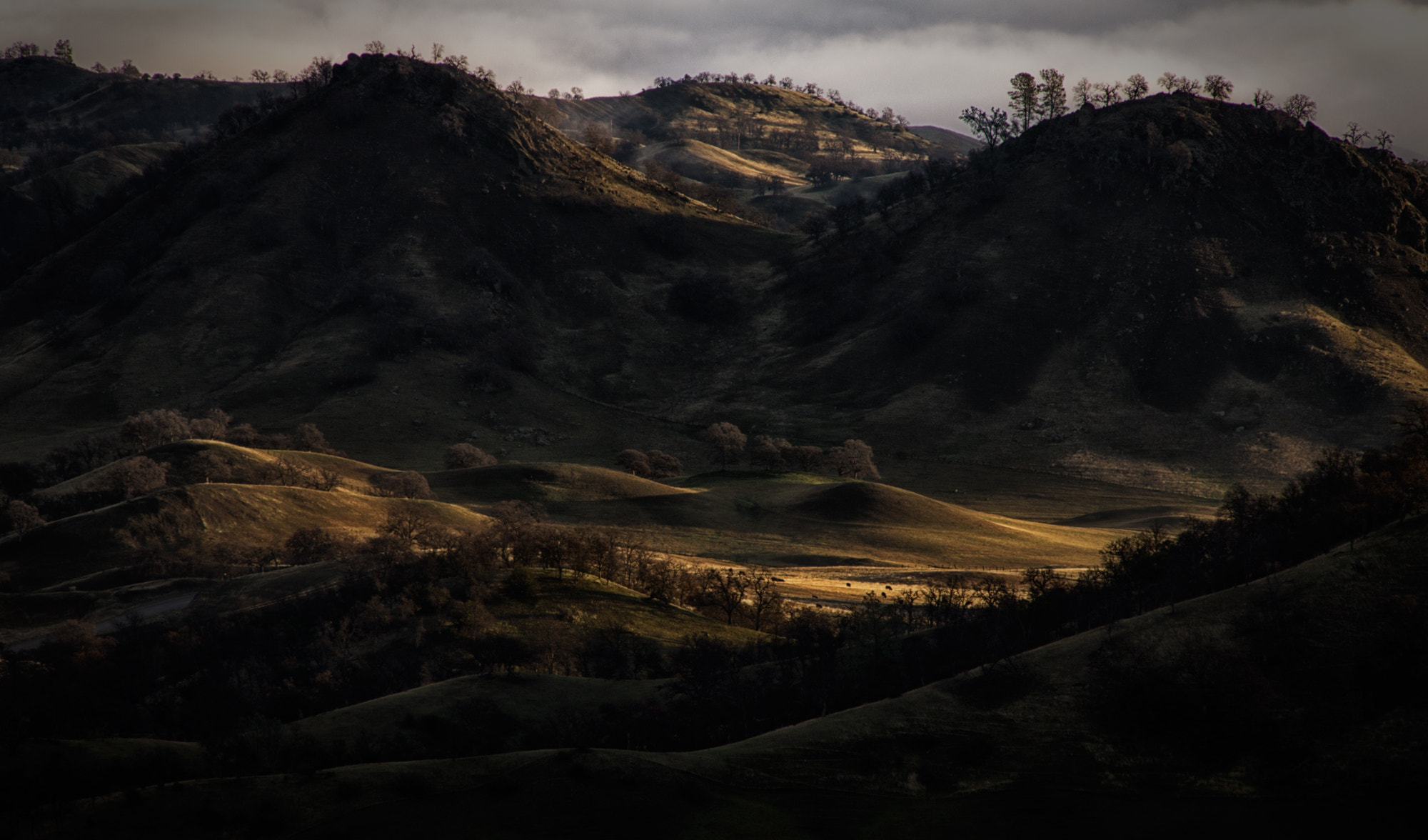 Sony SLT-A77 sample photo. Morning sunrise after the fog photography