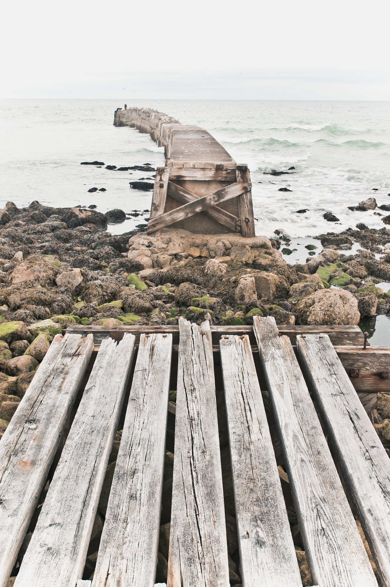 Sony Alpha NEX-5 + Sony E 30mm F3.5 Macro sample photo. Wooden walkway photography