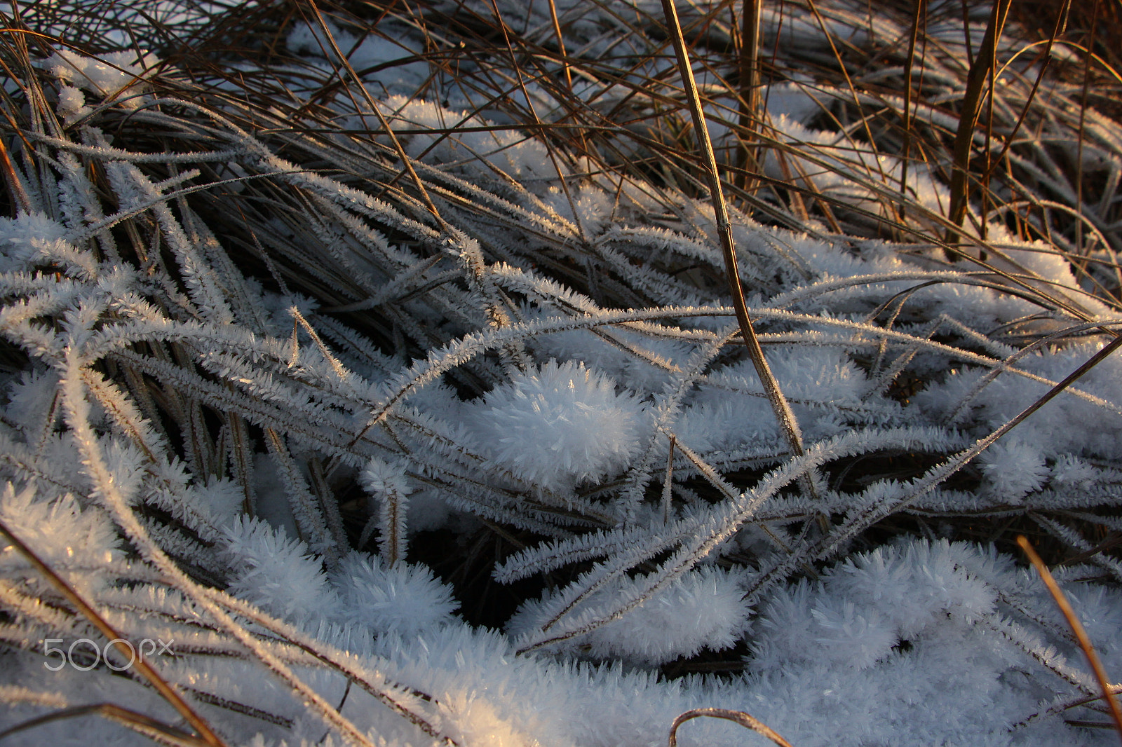 Canon EF-S 18-135mm F3.5-5.6 IS STM sample photo. Ice photography