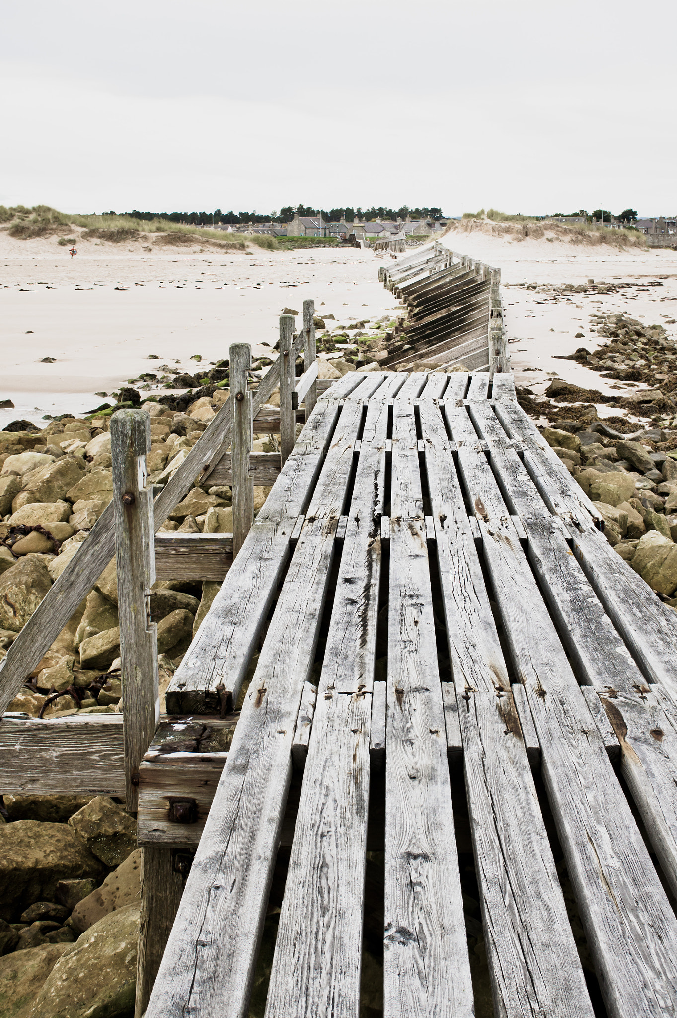 Sony Alpha NEX-5 + Sony E 30mm F3.5 Macro sample photo. Wooden walkway photography