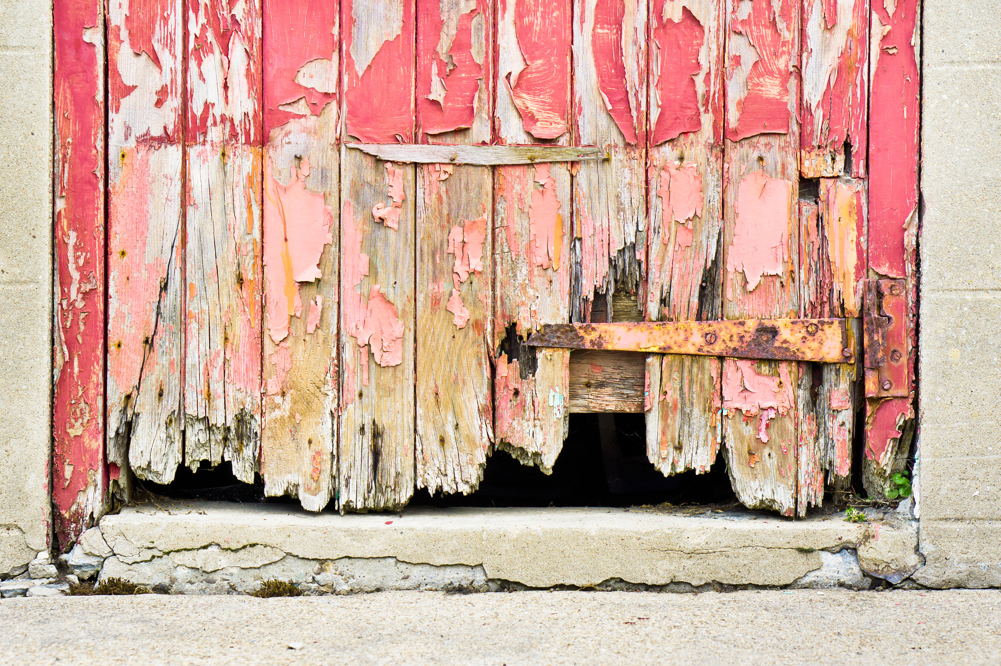 Sony Alpha NEX-5 + E 50mm F1.8 OSS sample photo. Old door photography