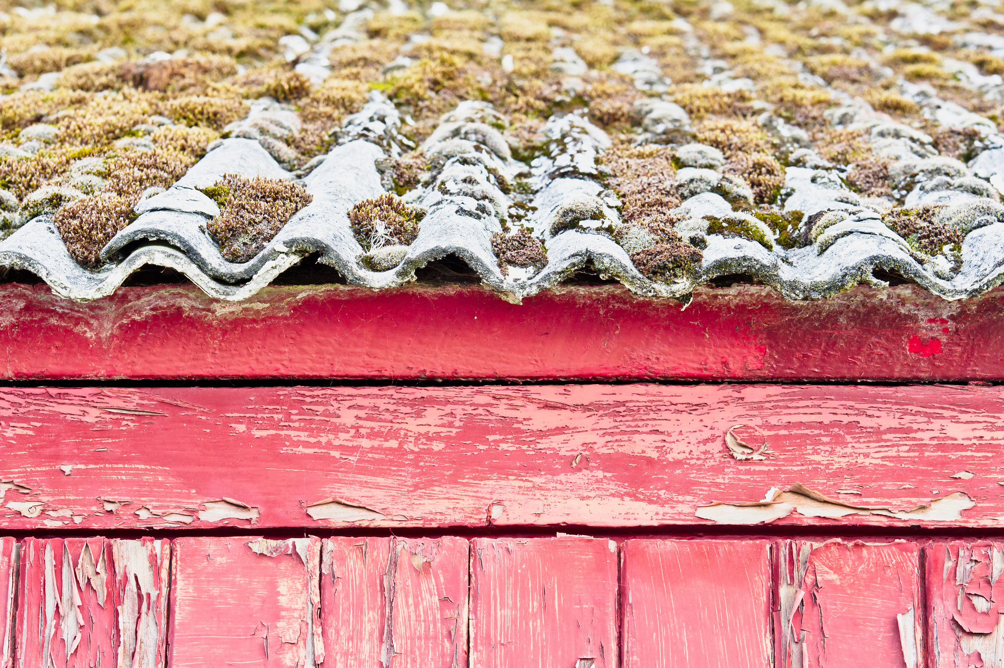 Sony Alpha NEX-5 + E 50mm F1.8 OSS sample photo. Red cabin photography