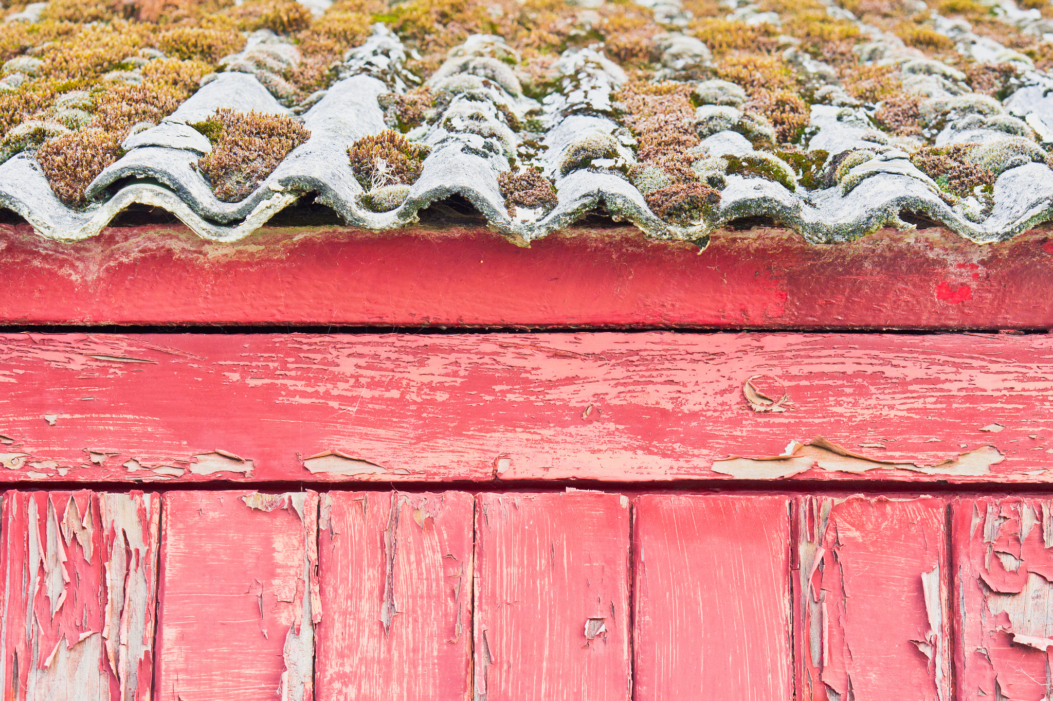 Sony Alpha NEX-5 + E 50mm F1.8 OSS sample photo. Red cabin photography