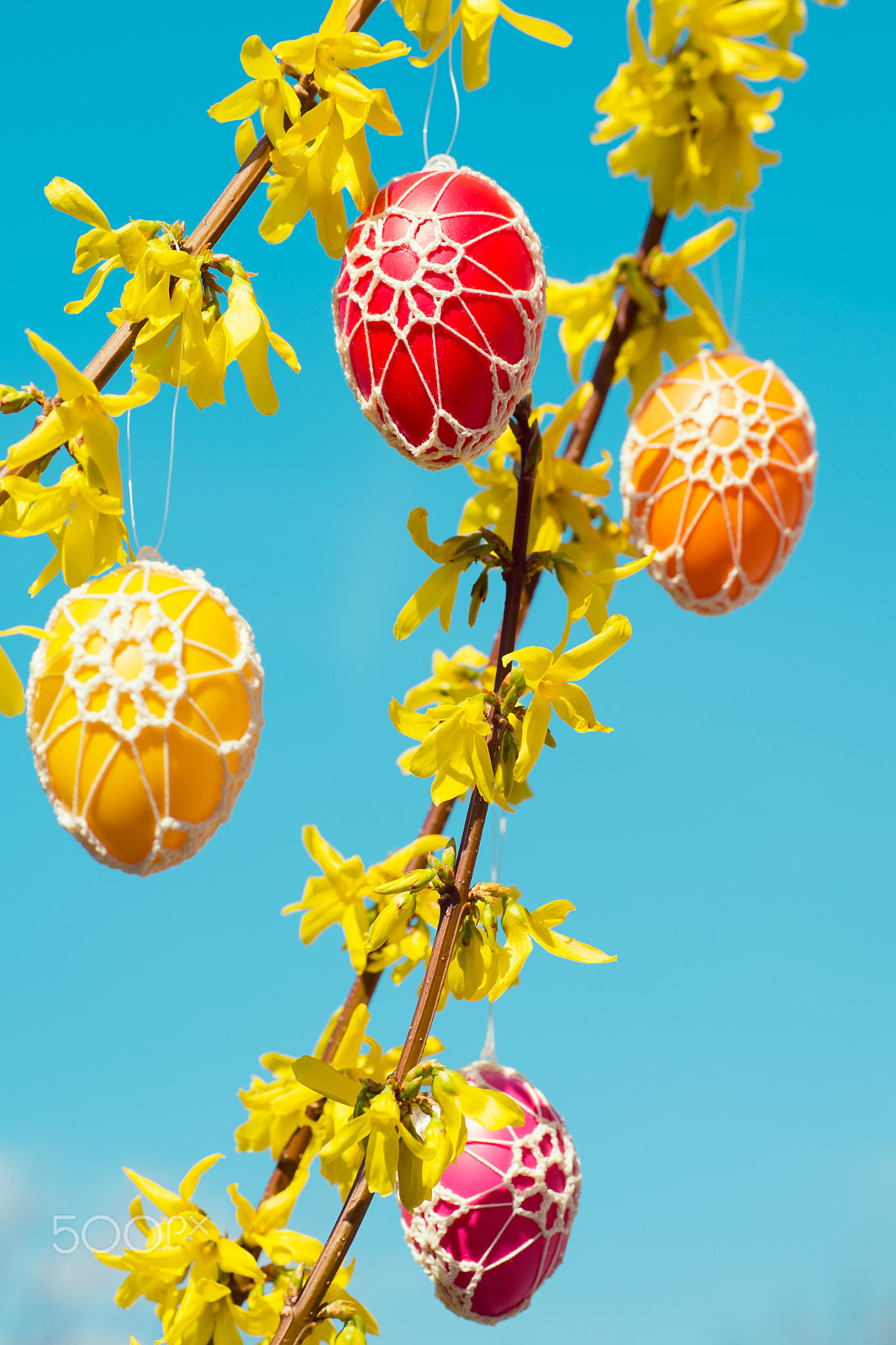 Nikon D4S + Sigma 70mm F2.8 EX DG Macro sample photo. Beautiful easter eggs hanging from a blooming forsythia photography