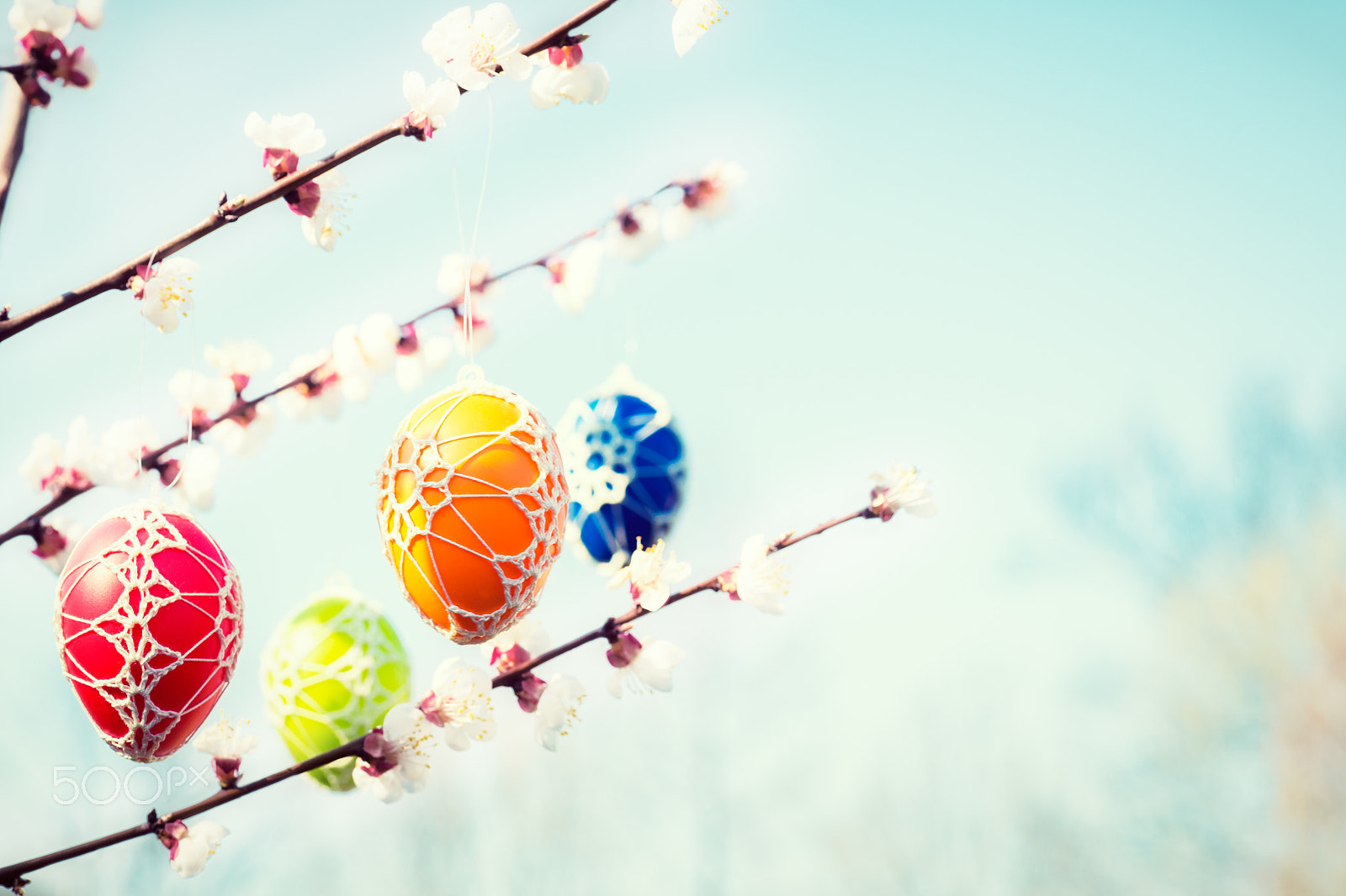 Nikon D4S + Sigma 70mm F2.8 EX DG Macro sample photo. Colorful easter eggs hanging from a blossoming apple tree photography