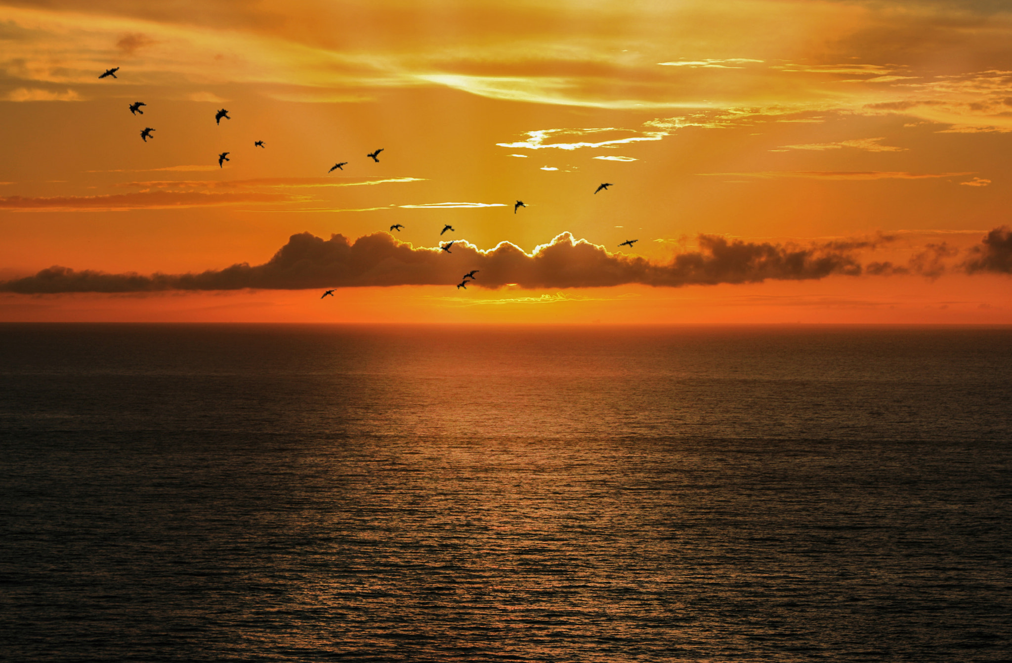 Canon EF 38-76mm f/4.5-5.6 sample photo. Birds at sunrise photography