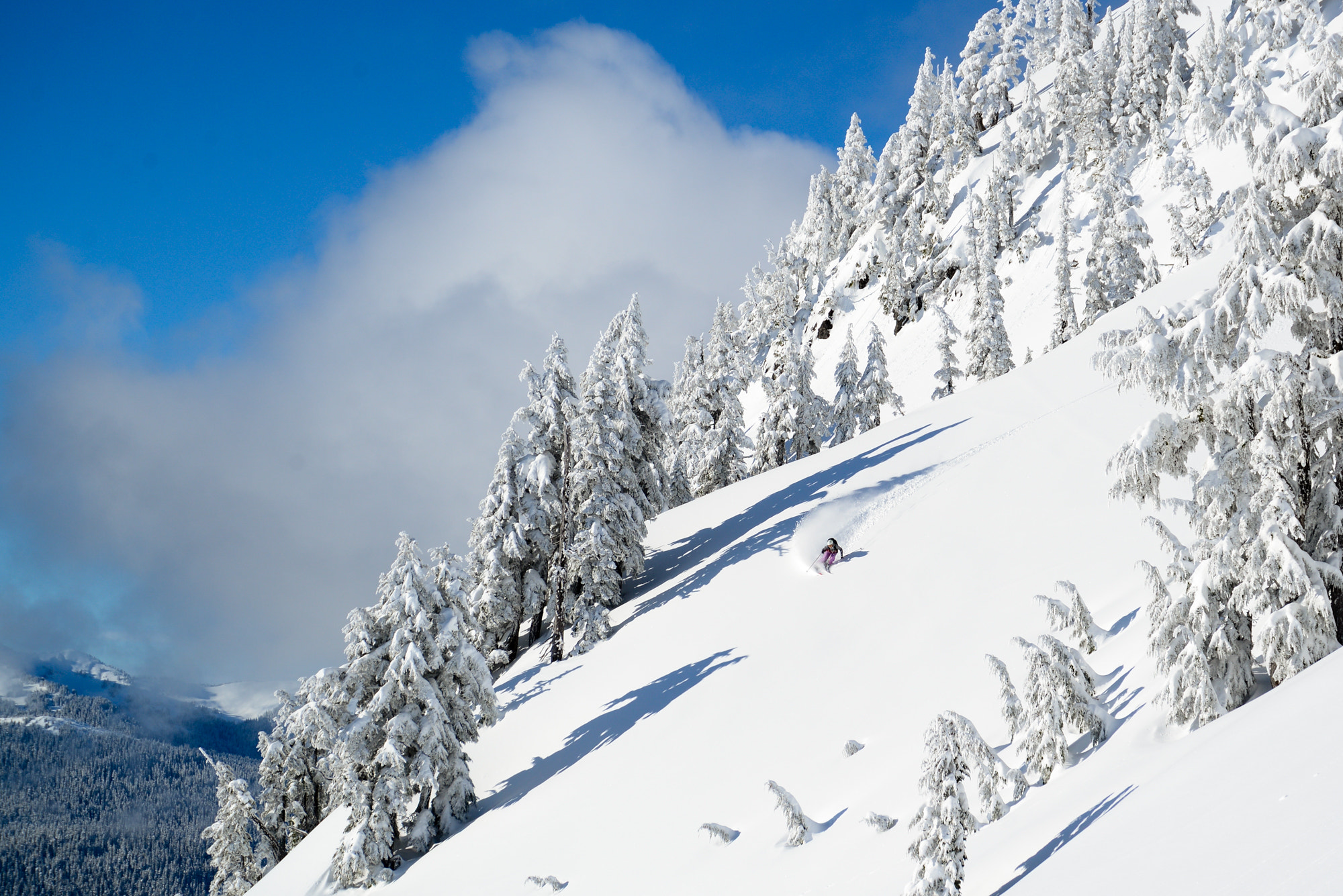 Nikon D600 sample photo. Offpiste action photography