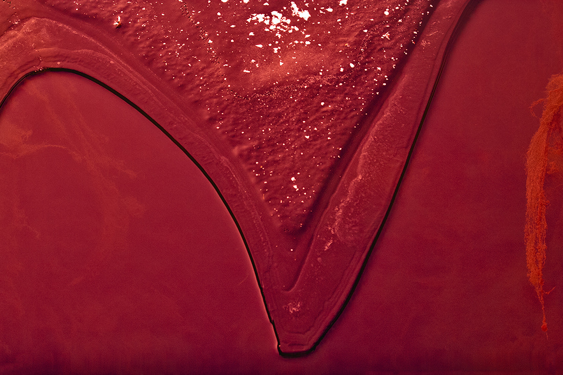 Canon EF 70-200mm F4L IS USM sample photo. Simply red photography