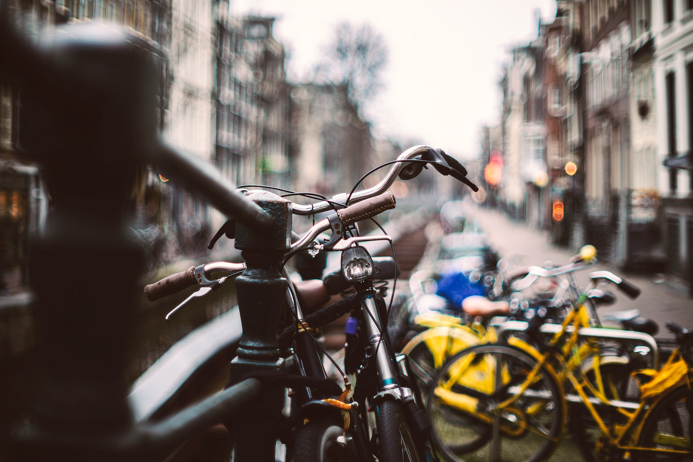 0,0 mm f/0,0 sample photo. Amsterdam photography