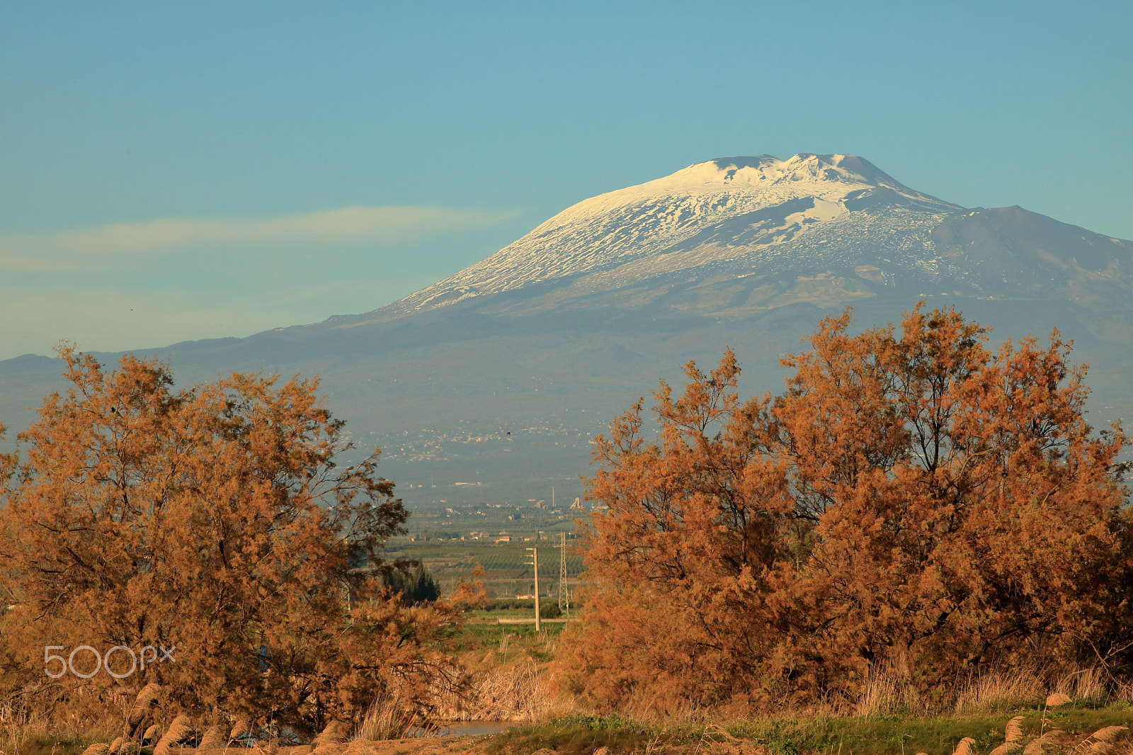 Canon EOS 760D (EOS Rebel T6s / EOS 8000D) sample photo. Mount etna & golden trees photography