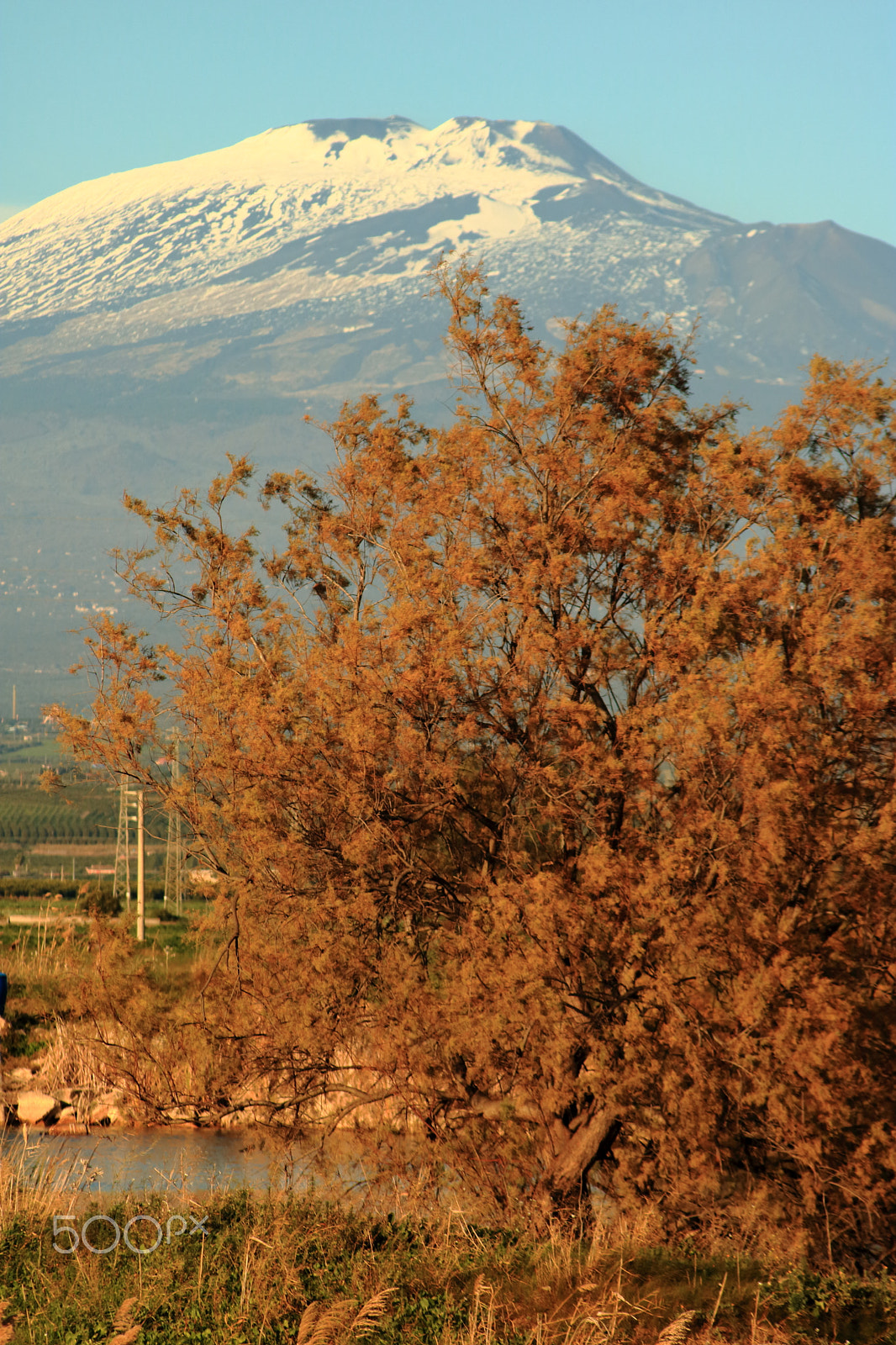 Canon EOS 760D (EOS Rebel T6s / EOS 8000D) sample photo. Mount etna & golden trees photography