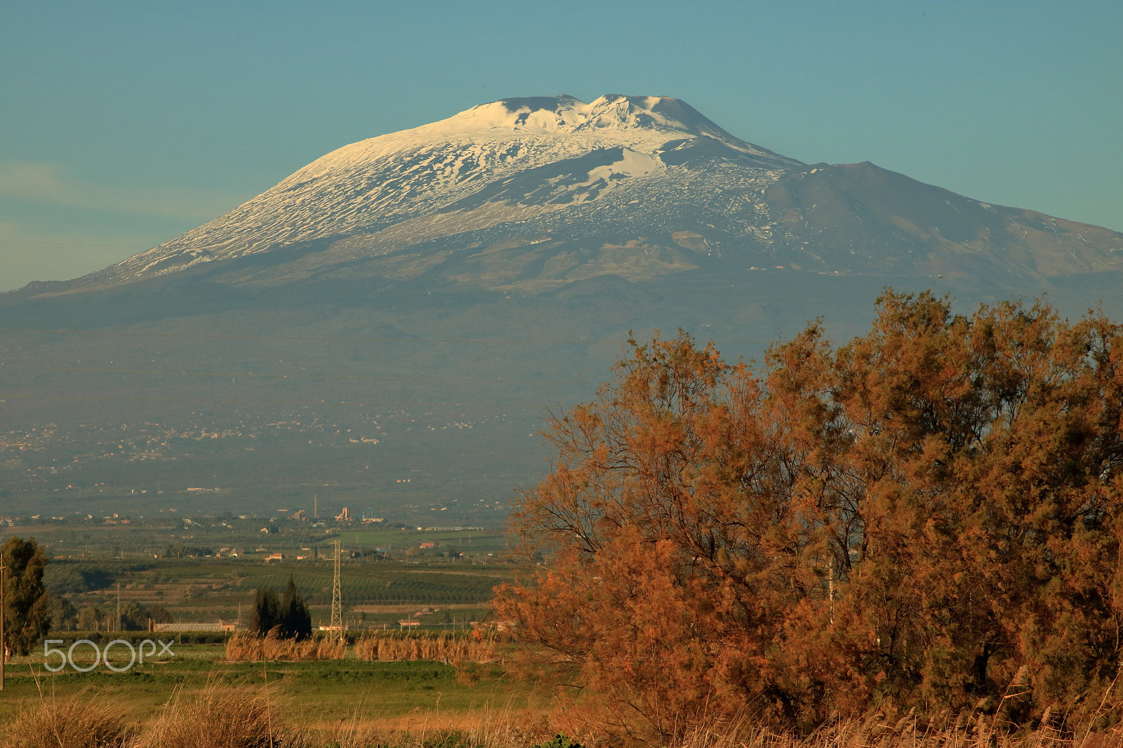 Canon EOS 760D (EOS Rebel T6s / EOS 8000D) sample photo. Mount etna & golden trees photography