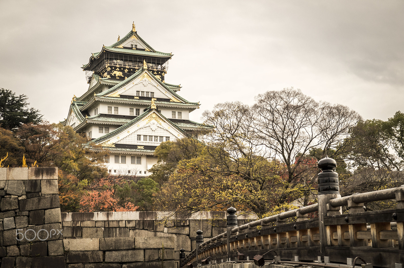 Sony SLT-A35 + Sigma 17-70mm F2.8-4.5 (D) sample photo. Osaka castle photography