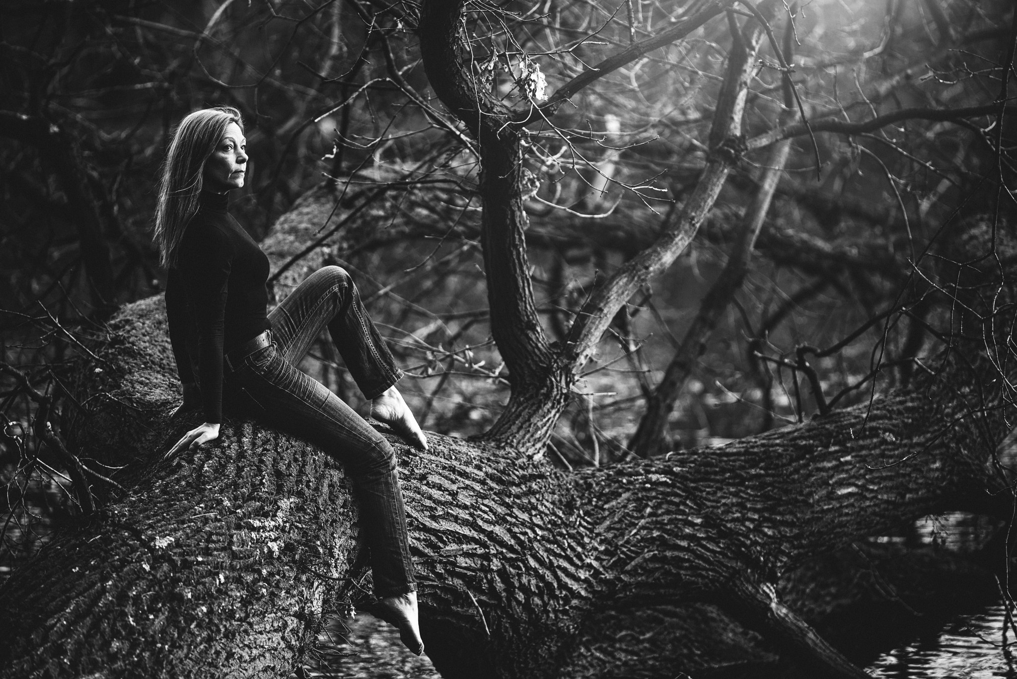 ZEISS Apo Sonnar T* 135mm F2 sample photo. Tree photography