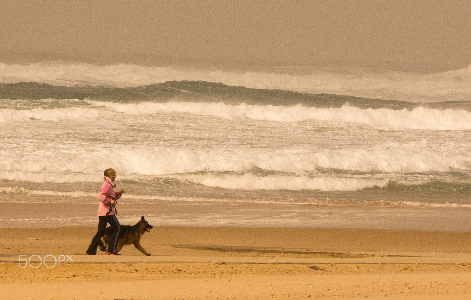 Sony SLT-A65 (SLT-A65V) sample photo. Woman's best friend photography