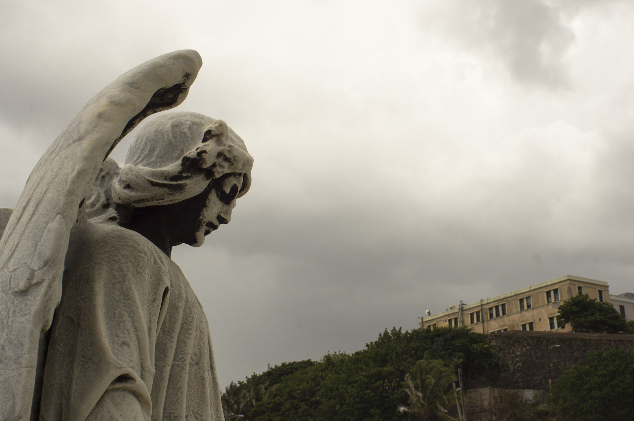 Sony 28mm F2.8 sample photo