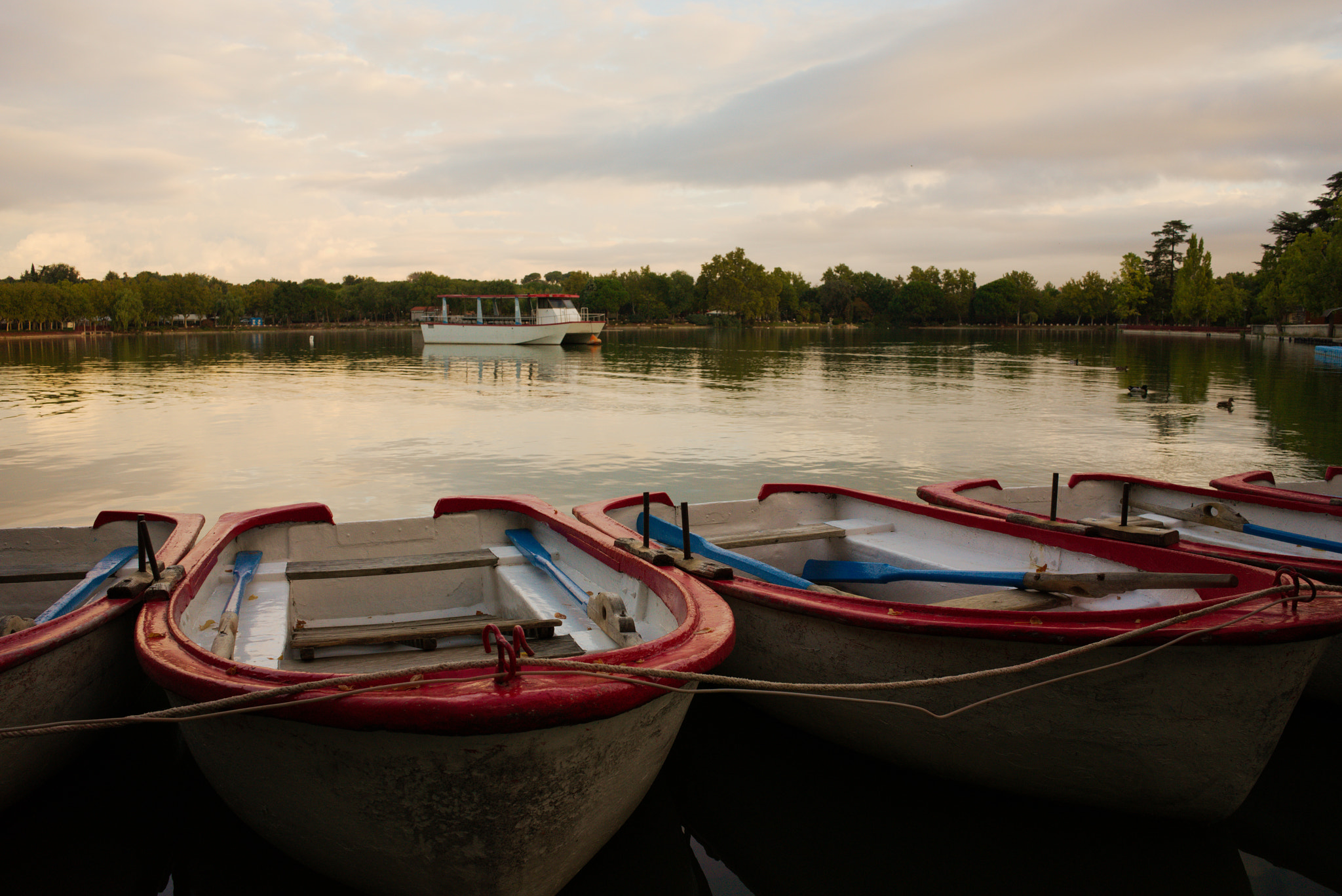 Sony a7R + Sony FE 28mm F2 sample photo. Barcas photography