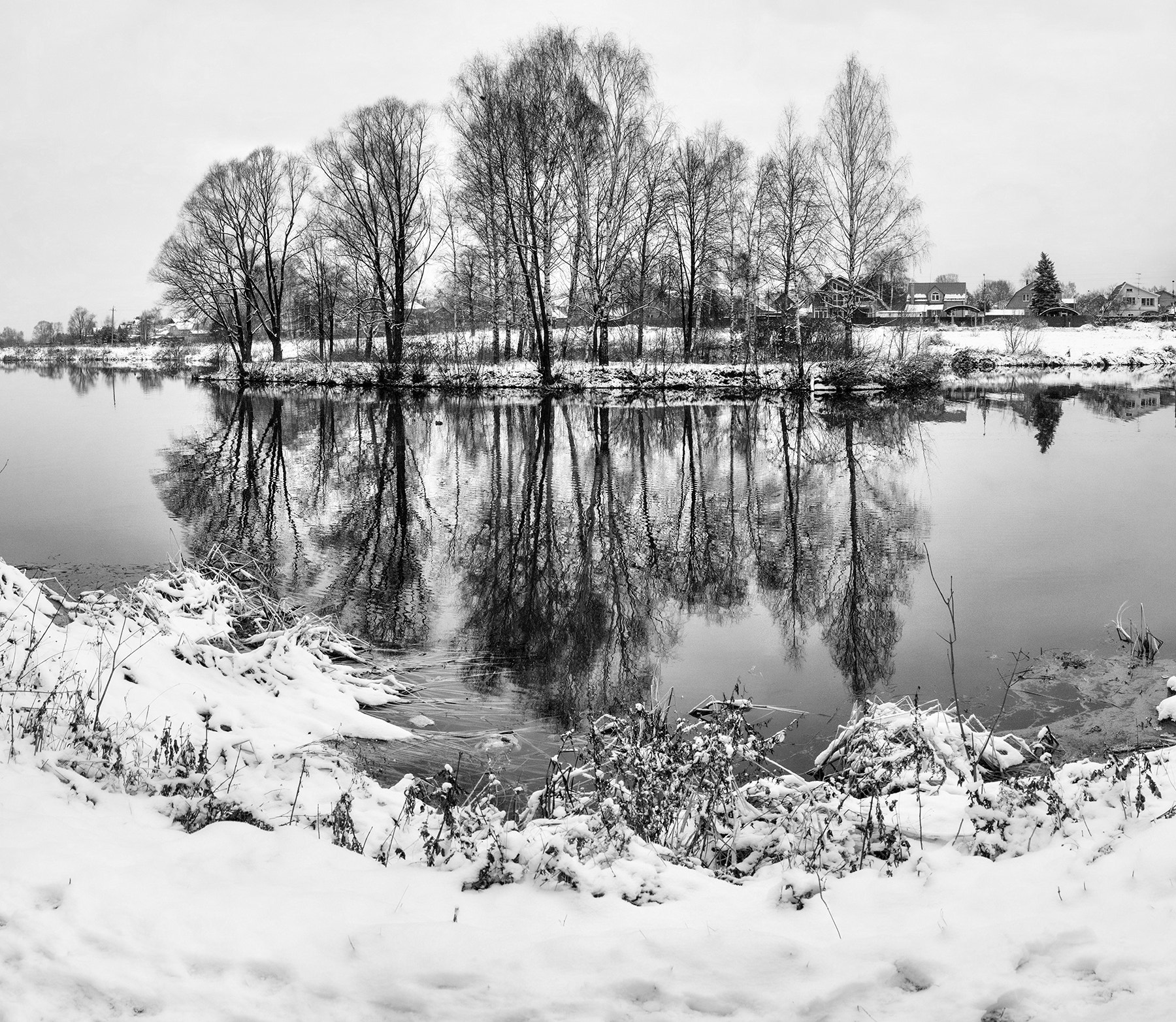 Sigma 19mm F2.8 DN Art sample photo. Остров в парке. photography