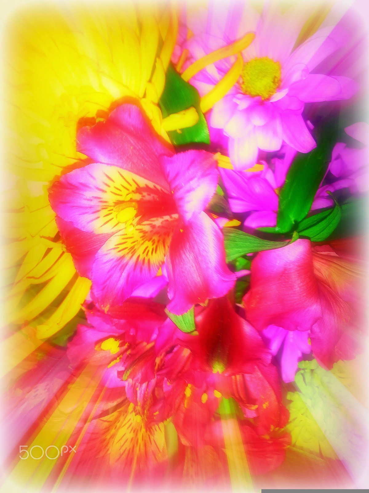 Samsung Galaxy S BlazeQ sample photo. Flowing flowers photography