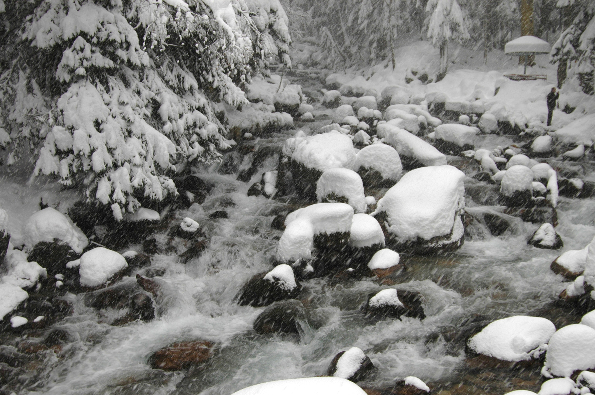 Nikon D70 sample photo. Caucasus. view on elbrus. the river ulla-murudžu o photography
