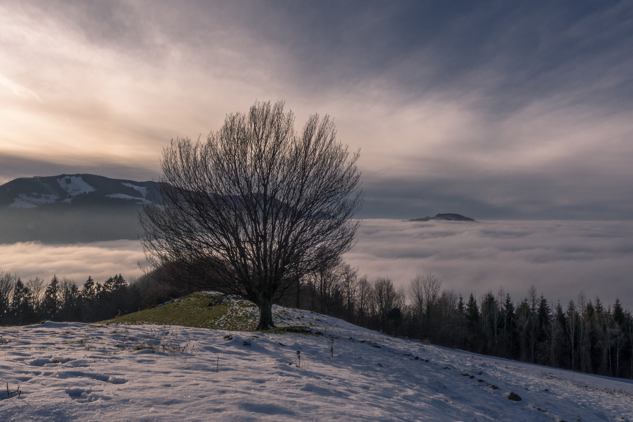 Olympus Zuiko Digital ED 12-60mm F2.8-4.0 SWD sample photo. Fog over enns valley photography
