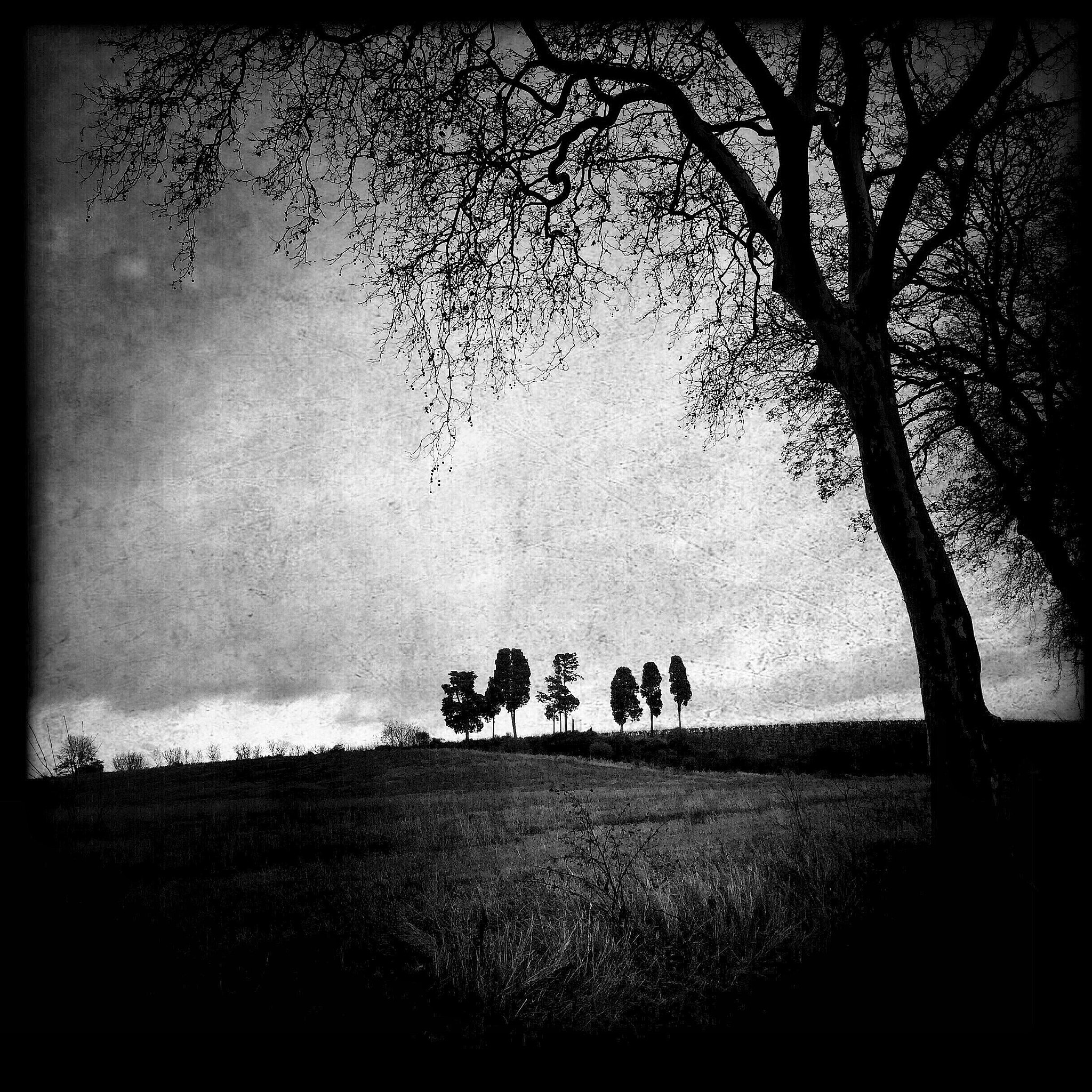 Hipstamatic 304 sample photo. The sentries photography