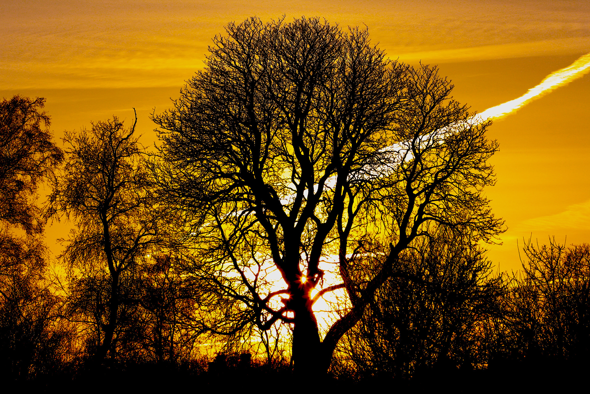 Canon EF 70-300mm F4-5.6 IS USM sample photo. Silhouttes photography