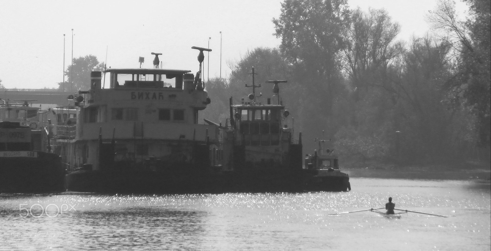 Olympus VR360,D760 sample photo. Bal na vodi photography