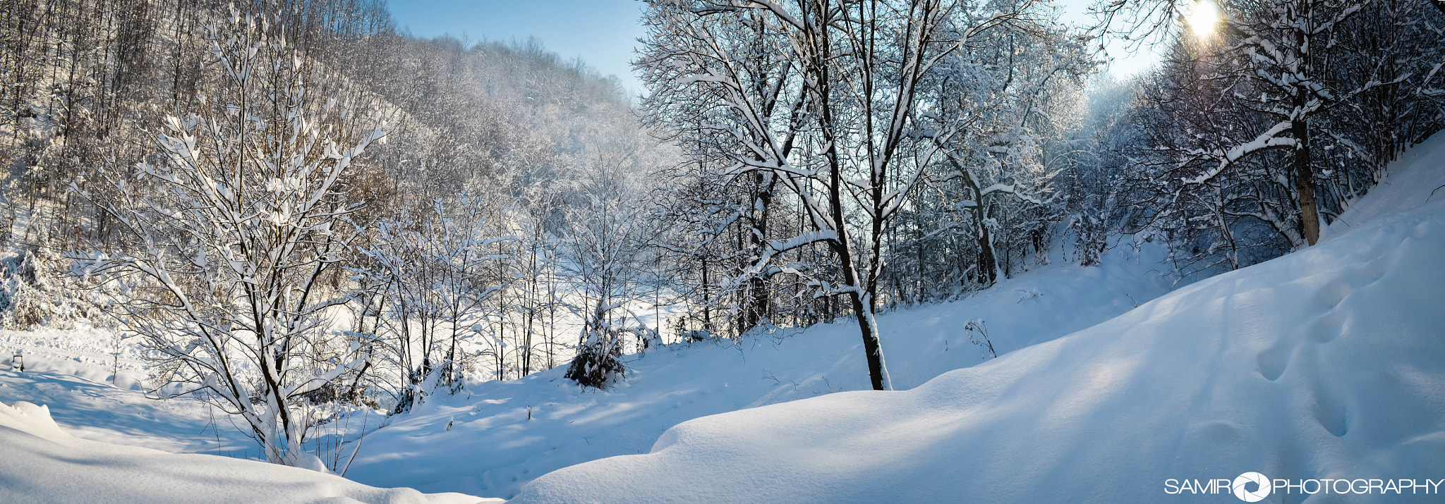AF Zoom-Nikkor 28-80mm f/3.5-5.6D sample photo. Winter photography